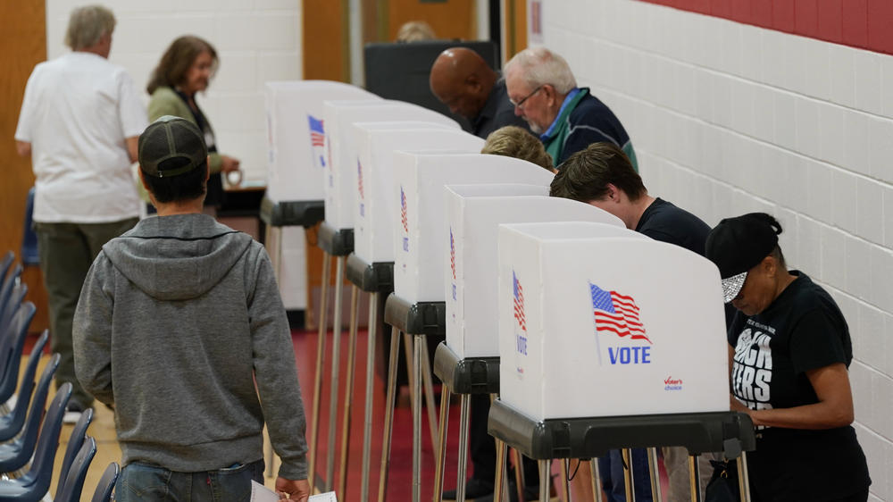 Voters make their choices at a polling station Tuesday in Richmond, Va. Virginia Democrats managed to maintain control of the state Senate while flipping the Republican-controlled state House of Delegates.