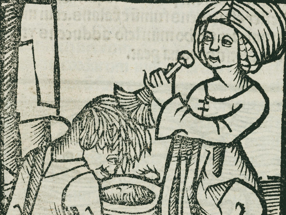 Lice have irked humans for many centuries. In this 1497 woodcut printed in Strasburg, Germany, a man is de-loused.