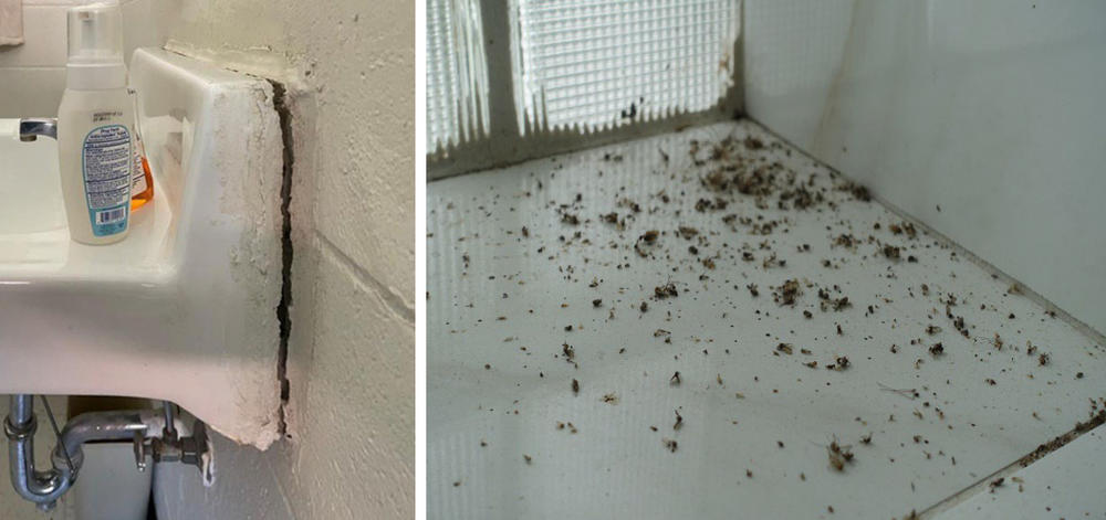 Left: A sink is seen detached from the wall in an inmate's cell. Right: insects are seen on a windowsill in the inmate cafeteria.