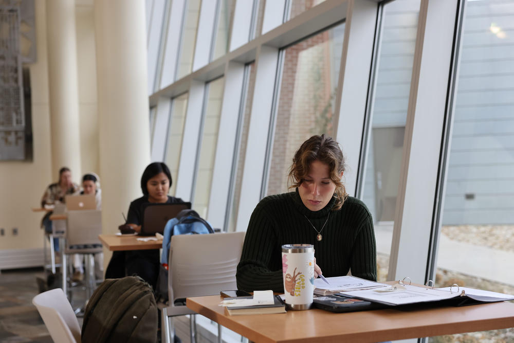 Student study in a common area known as Jacob's Ladder at Dordt University, a Christian college, in Sioux Center, Iowa, on Nov. 7, 2023.