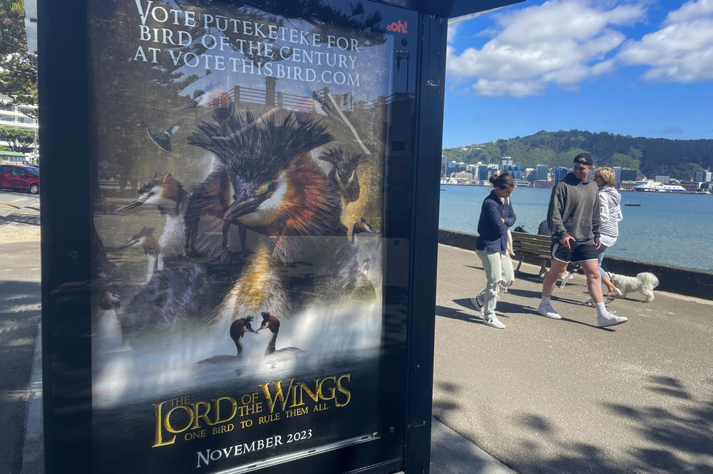 A billboard at a bus stop promotes comedian John Oliver's campaign for the pūteketeke to be named New Zealand's Bird of the Century on Saturday in Wellington.