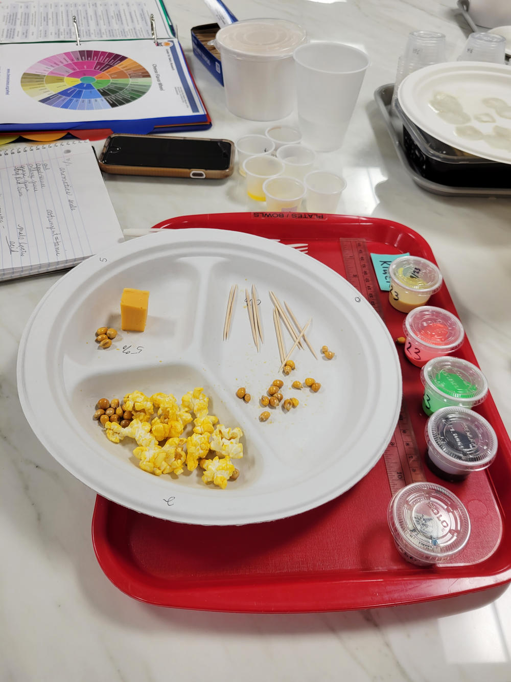 Cheese tasters are given microwave buttered popcorn, a flavor color wheel and sample cups to determine the cheese's butteriness and texture.