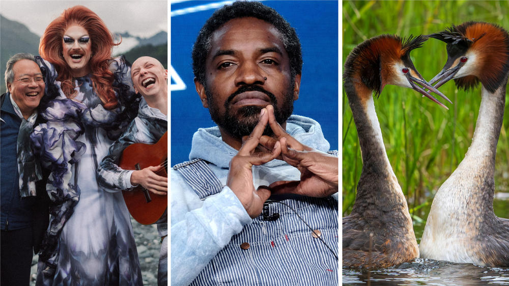 From left: eco trio, surprise flautist, weird bird