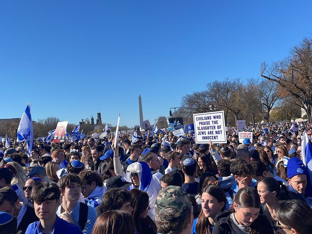 Thousands of people traveled to Washington, D.C. for a pro-Israel rally on the National Mall on Nov. 14.