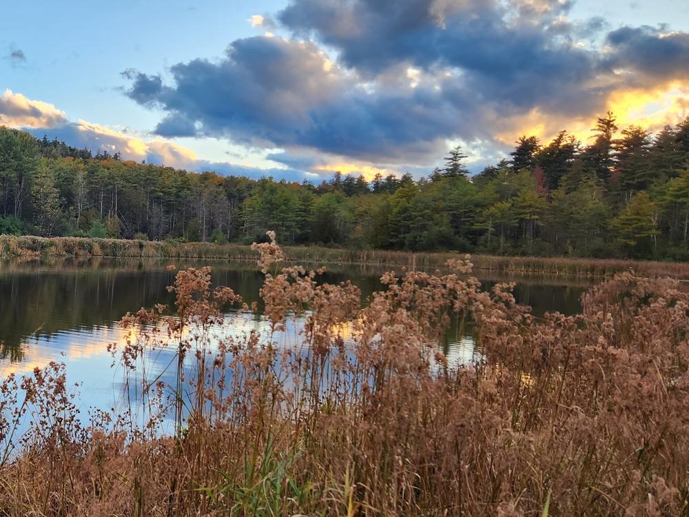 New York's Adirondack Park has seen a dramatic 