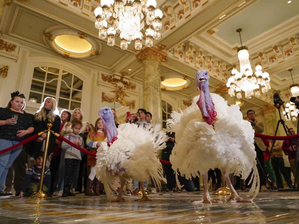 Two turkeys, named Liberty and Bell, were 