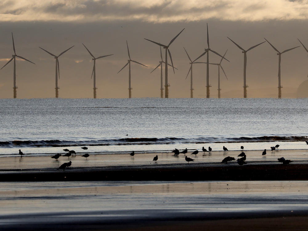 Wind turbines generate electricity off the coast of England. World leaders will meet later this week in Dubai to discuss global efforts to reduce emissions of planet-warming pollution and transition to renewable energy sources.