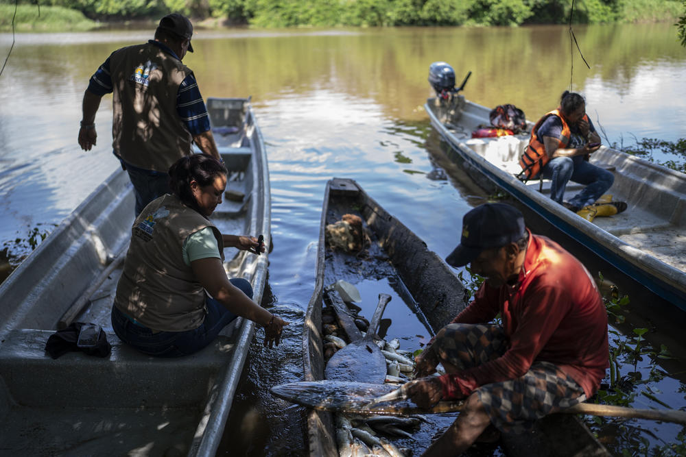 A member of the fishers association cleans a fish as Velásquez looks on. She says contamination from Barrancabermeja's oil refinery and petrochemical plants is causing fish kills in nearby rivers and lagoons.