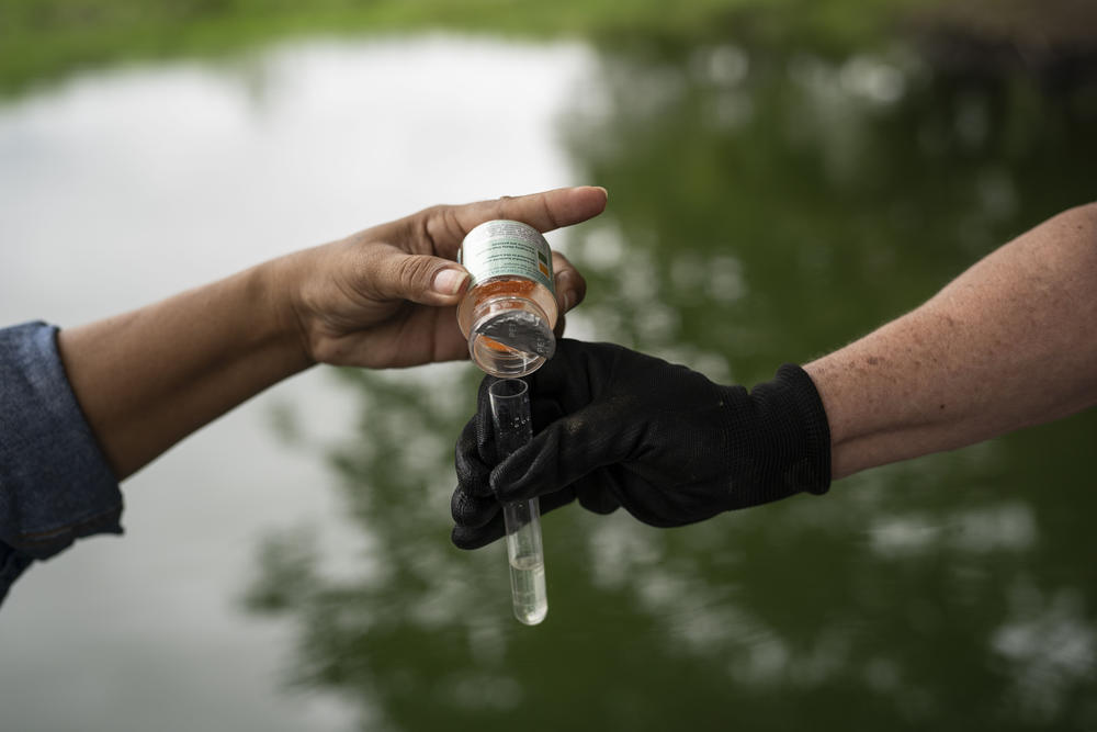 Velásquez collects a water sample on a polluted tributary of the Magdalena River.