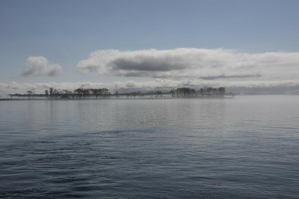 A search for a father would lead to New York's Hart Island.