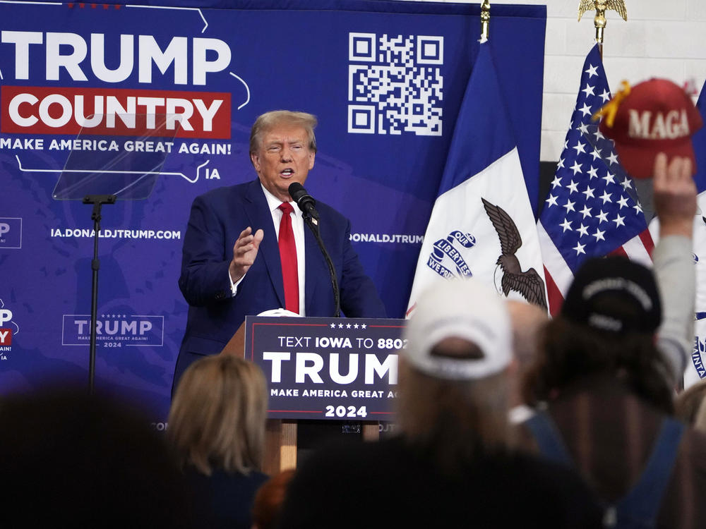 Republican presidential candidate and former President Donald Trump speaks during a Nov. 18 rally in Fort Dodge, Iowa.