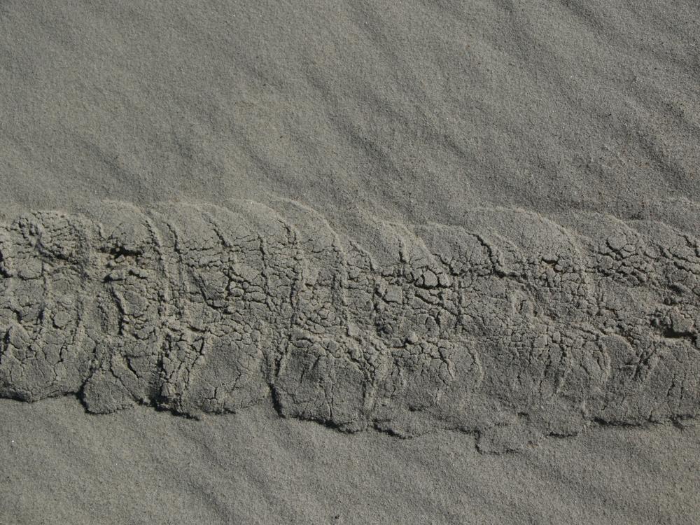 Evidence of the De Winton's golden mole tunnel below the wet sand in Port Nolloth, South Africa.