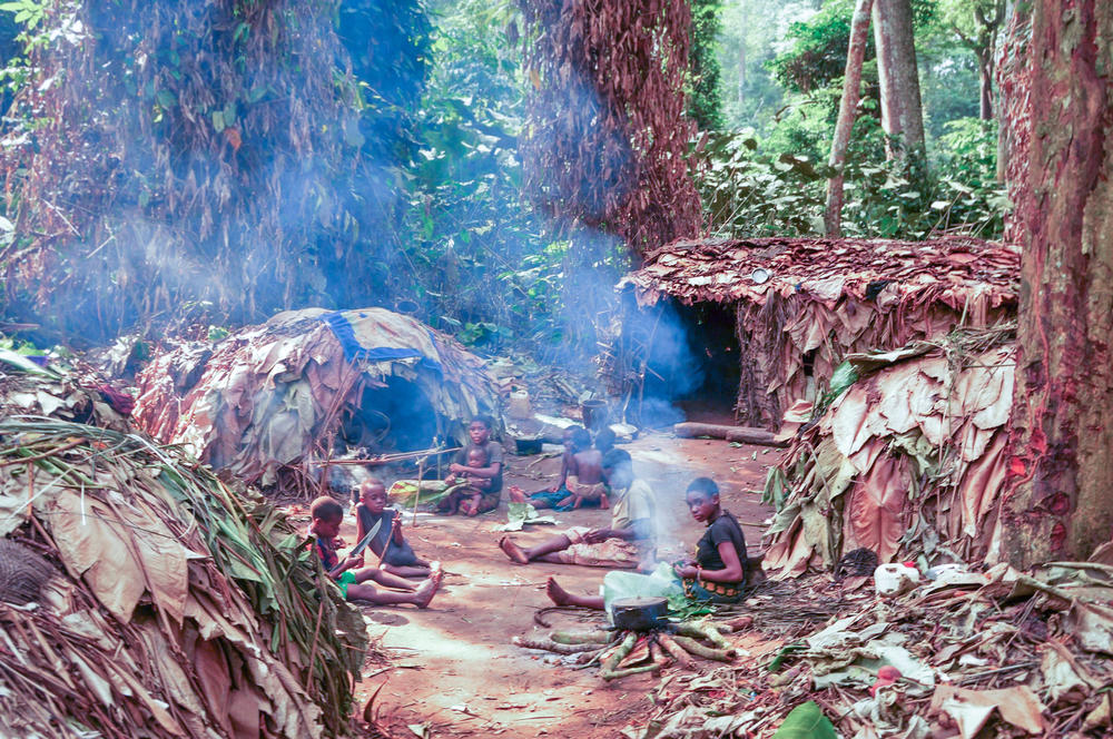 The Mbendjele people, who live in the northern rainforests of the Republic of Congo, acquire their food primarily by foraging, hunting and fishing. A study has found that in their community, children have many hands-on caregivers in addition to mom and dad.