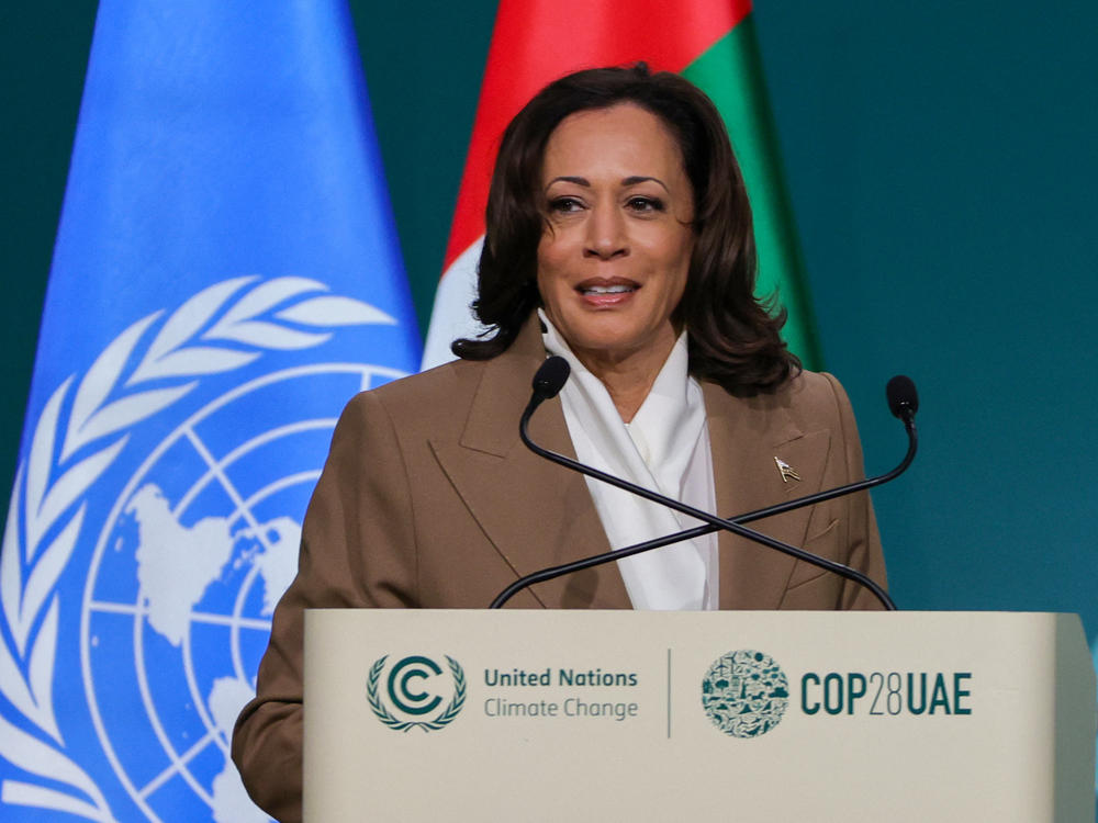 Vice President Harris speaks to leaders at the United Nations climate summit in Dubai on Dec. 2, 2023.