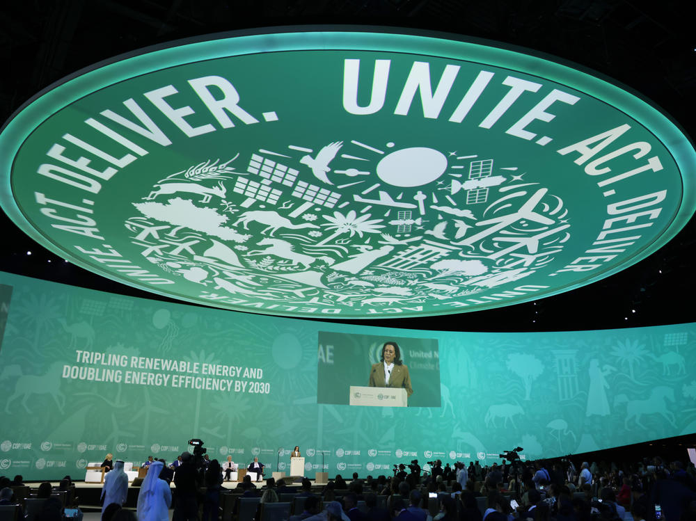 Vice President Harris speaks at a forum on increasing global renewable energy during COP28 in Dubai.