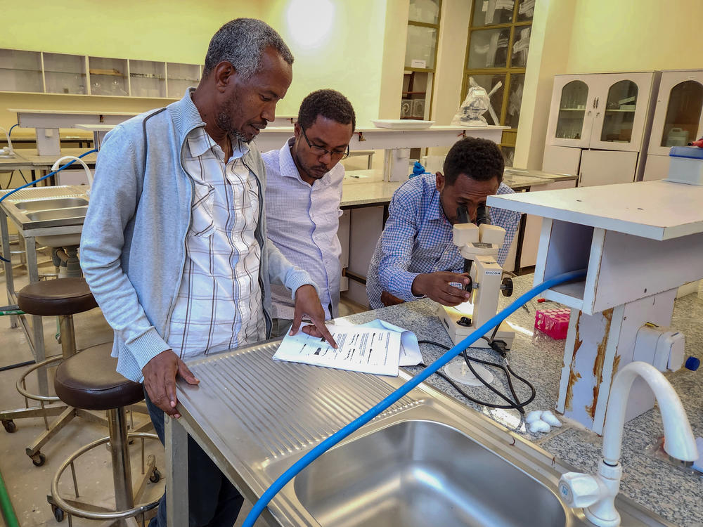 Solomon Yared, left, from Jigjiga University and Esayas Aklilu of Addis Ababa University, center, discuss findings in the lab. Araya Gebresilassie, also of Addis Ababa University, uses a stereomicroscope to distinguish different species of adult mosquitos.