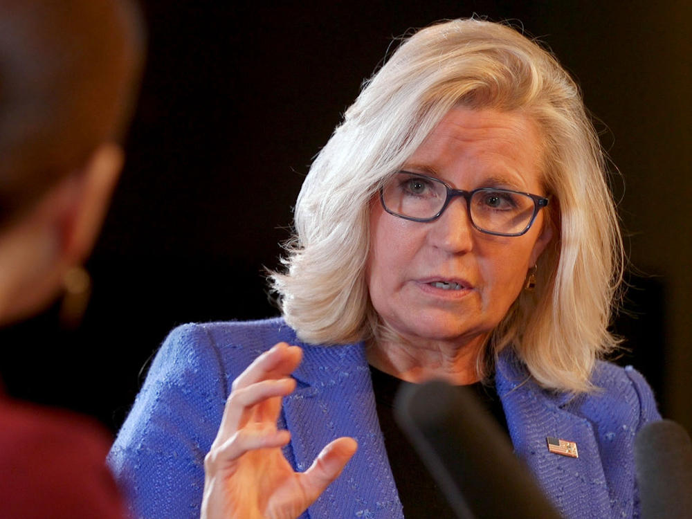 Former Republican Representative Liz Cheney talks about her new book, 