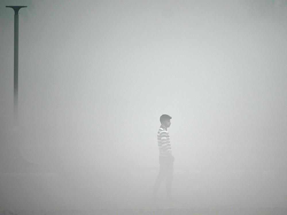 A pedestrian walks along the roadside amid heavy smoggy conditions in New Delhi. Delhi is considered the world's most polluted megacity, with a melange of factory and vehicle emissions exacerbated by seasonal agricultural fires.