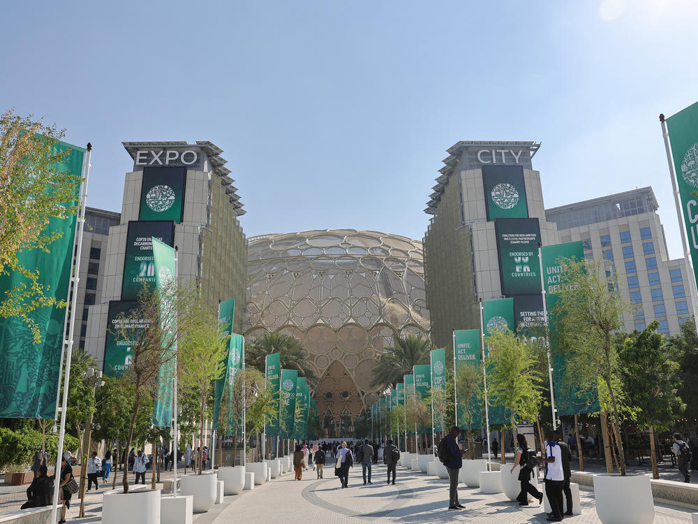 More than 2,400 fossil fuel representatives and lobbyists have been accredited for the U.N. climate talks in Dubai — a record. Meanwhile, negotiators are wrestling with calls to end all new oil, gas and coal projects to curb climate change.