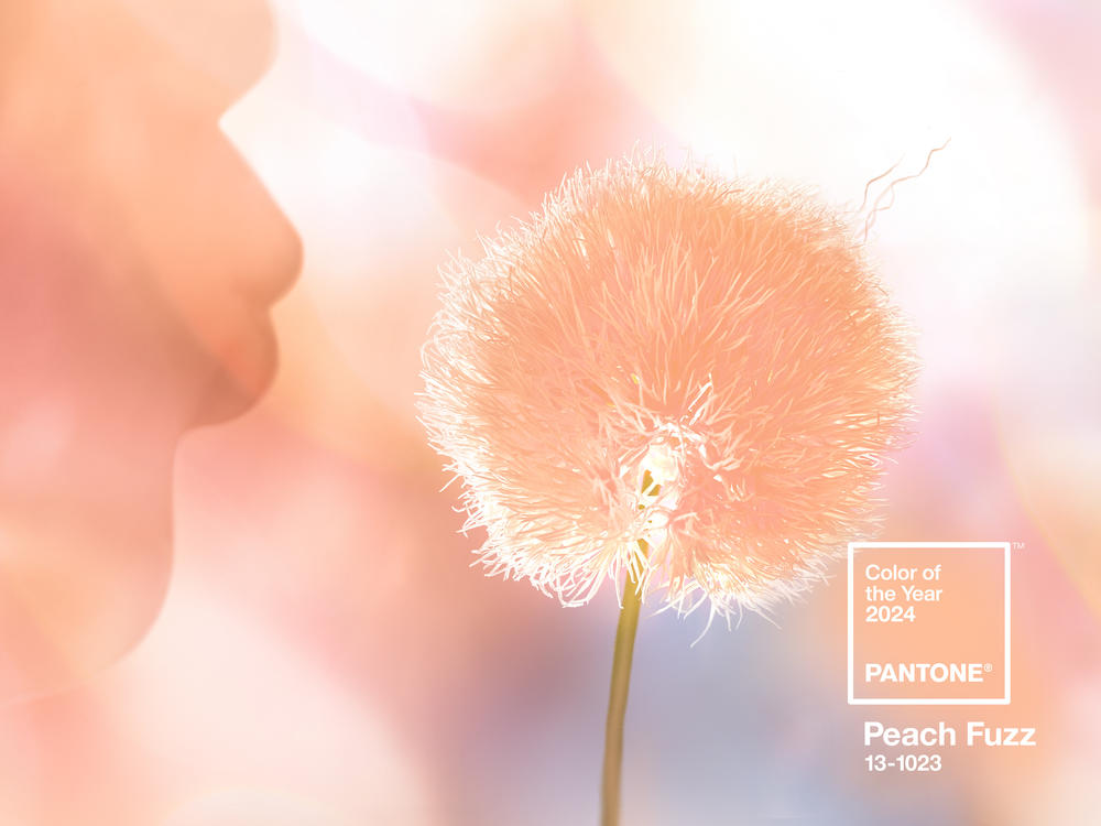 An influential color consultancy has already set the tone for the year ahead: Pantone's Color of the Year for 2024 is Peach Fuzz.