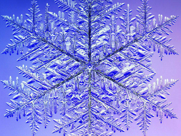 This 10.0 mm (0.4 inches) monster snowflake holds the Guinness record for the largest snow crystal. A microscope was used to photograph it in four quadrants, which were later digitally recombined.