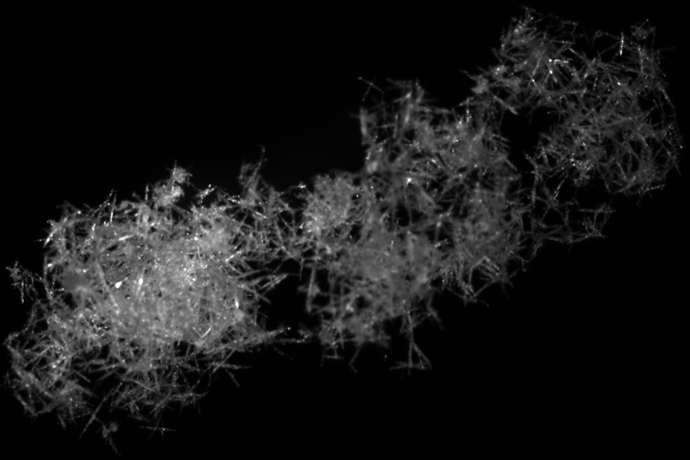 This 35.33 mm (1.39 inches) snowflake photographed in Stonybrook, NY in 2015 was the largest captured over multiple winters by researchers using a special camera designed to image falling snowflakes.
