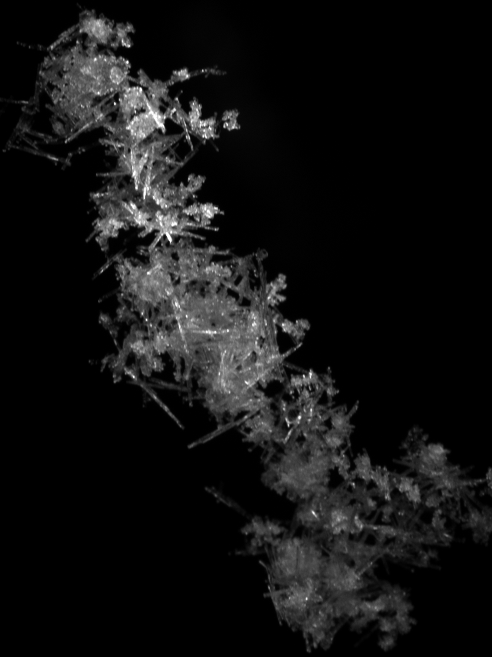 This 33.6 mm snowflake (1.32 inches), also from Stonybrook, NY in 2015, is typical of aggregates in that it features a variety of snow crystal shapes, from needle-like columns to fuzzy little balls.