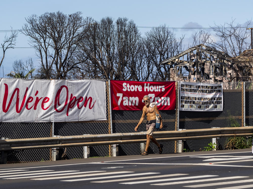 Properties destroyed by wildfire sit behind signs advertising for a nearby Safeway that survived the fire, Wednesday, Dec. 6, 2023, in Lahaina, Hawaii.