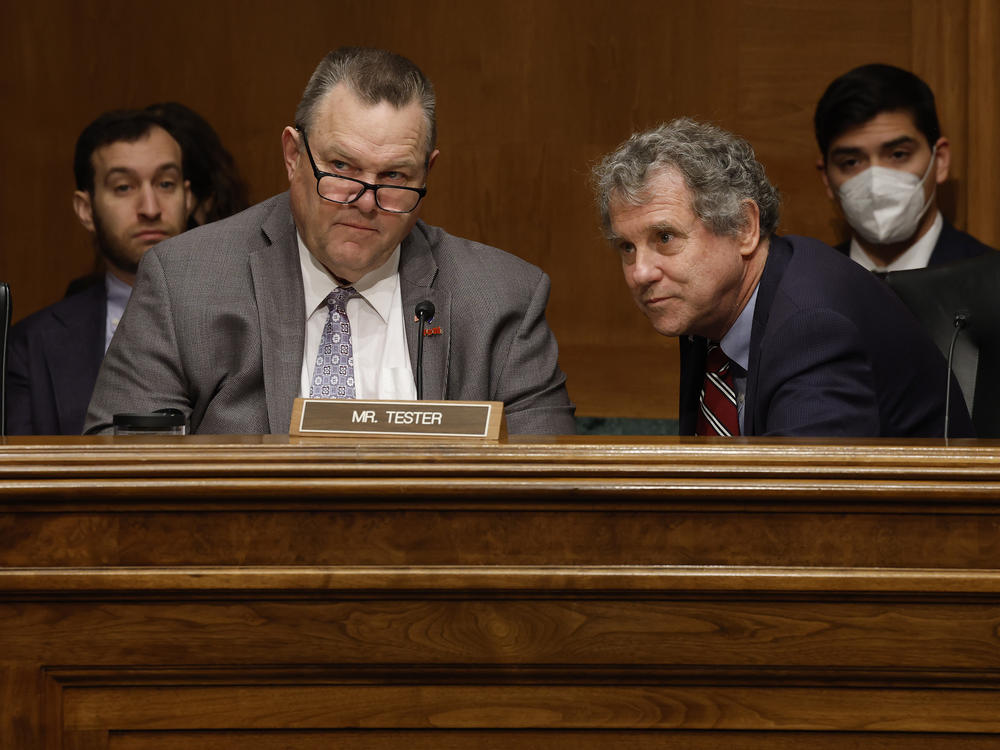 Sens. Jon Tester of Montana and Sherrod Brown of Ohio are the last two Senate Democrats running for reelection this year in states President Donald Trump won.