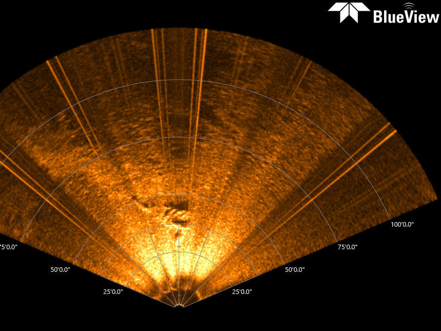 Sonar image presumed to be of the George L. Newman shipwreck