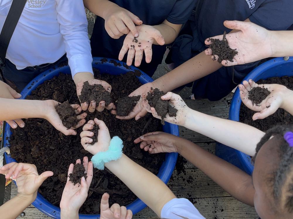 Students at The Wesley School in the Los Angeles neighborhood of North Hollywood collected their food waste for a year and turned it into compost.