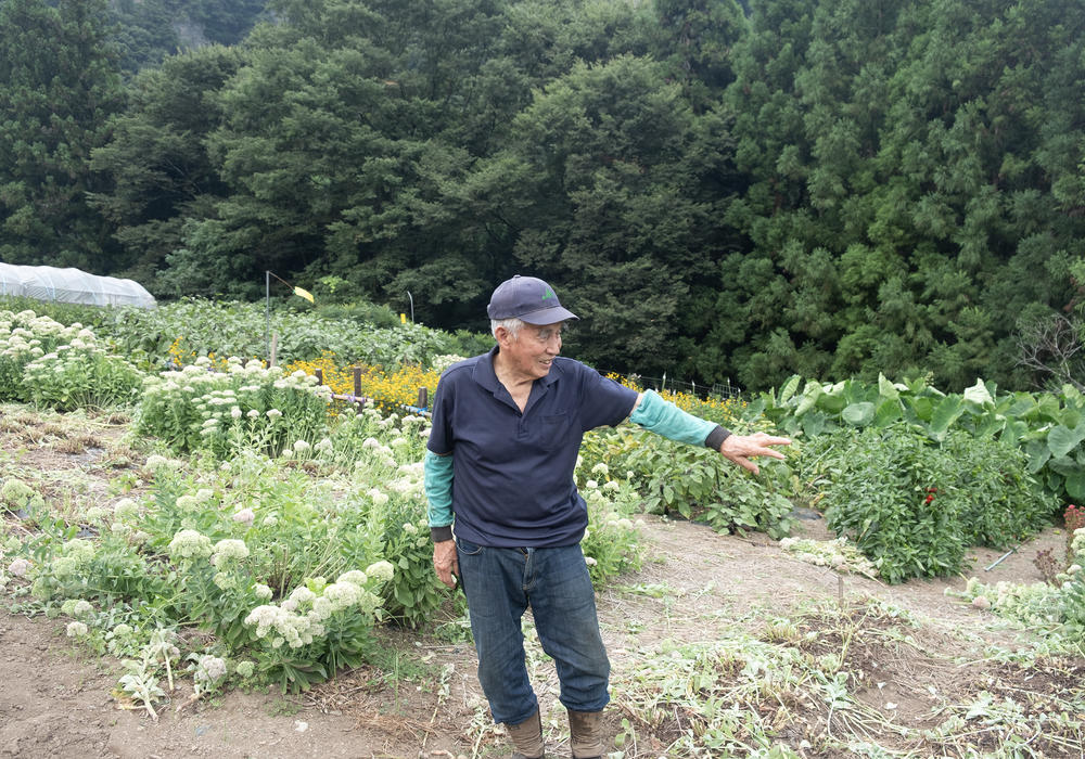 Hachiro Koganezawa, 90, farms flowers and vegetables on a plot of land outside the village center.