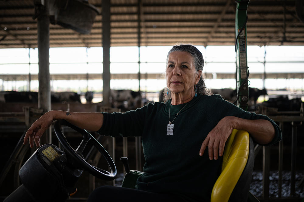 Volunteer Aline Stern sits on a tractor at a dairy farm near Nir Oz, one of the communities attacked on Oct. 7 by Hamas militants.