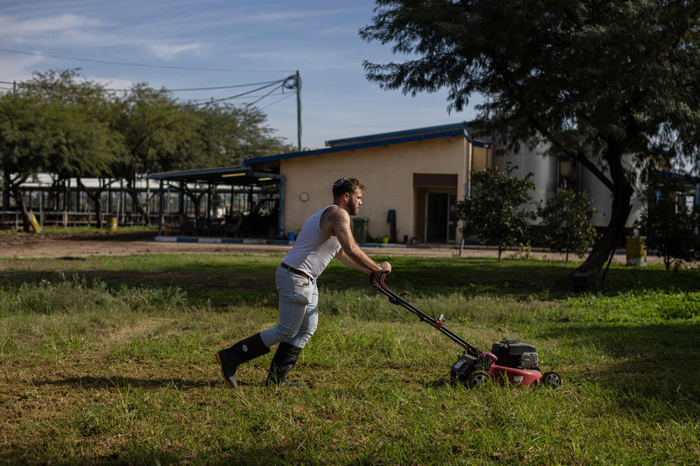 Gabriel Leff mows grass at a dairy farm. He arrived in Israel after the Oct. 7 attacks and has been volunteering at various places around the country, including at the dairy farm.