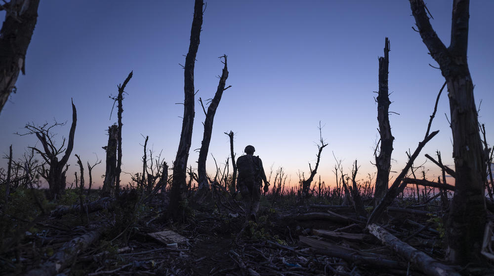 A Ukrainian soldier walks through a charred forest near the eastern town of Bakhmut in September. Despite heavy fighting in the Russia-Ukraine war this year, the front line has barely moved.