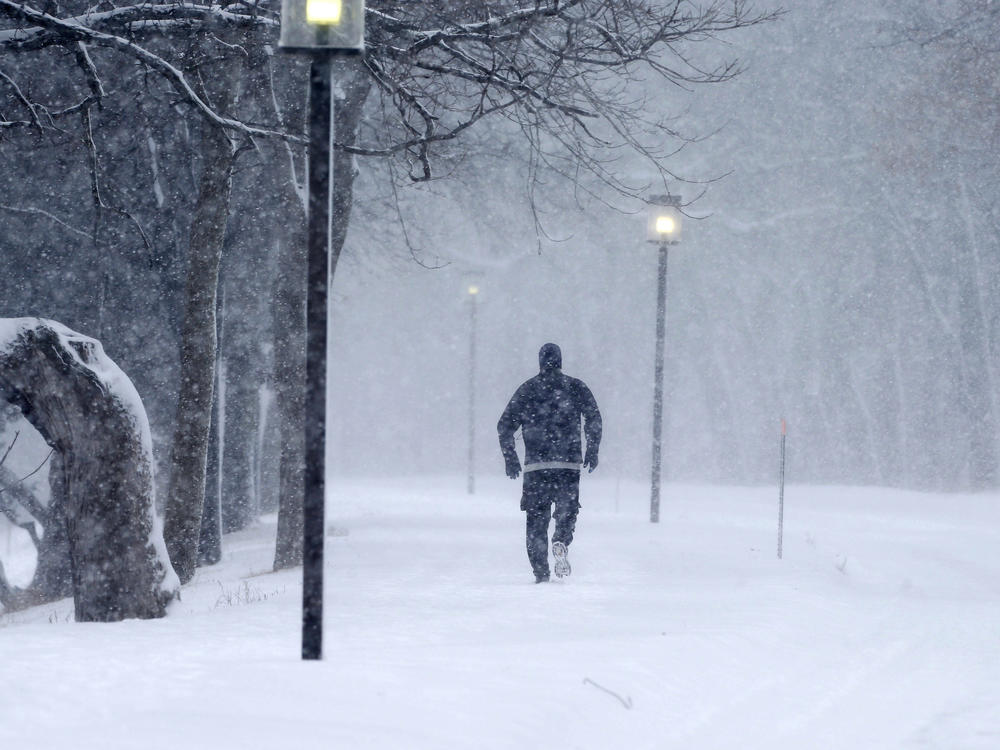 Parts of the Midwest, including southern Minnesota, experienced blizzard conditions in 2016.