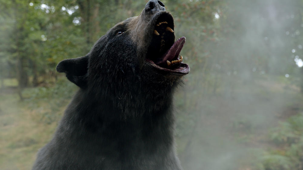 The title<em> Cocaine Bear</em> says it all, and the film delivers on that promise in 95 minutes.