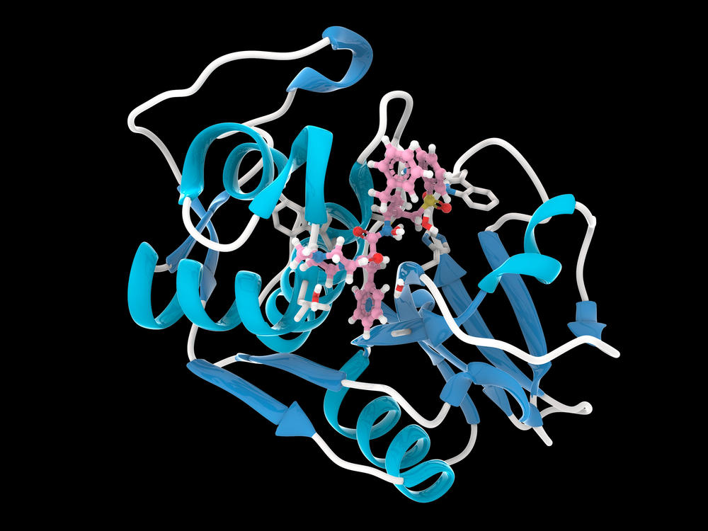 Computer model of the rhodesain protein from the <em>Trypanosoma brucei rhodesiense</em> parasite that causes acute sleeping sickness by attacking the brain.