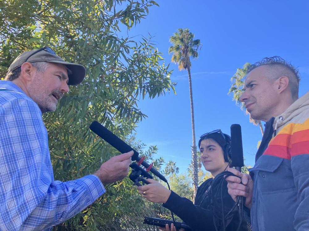 Forager Douglas Kent and NPR's A Martinez in front of arroyo willow and Mexican fan palm at Ken Malloy Harbor Regional Park in Los Angeles.