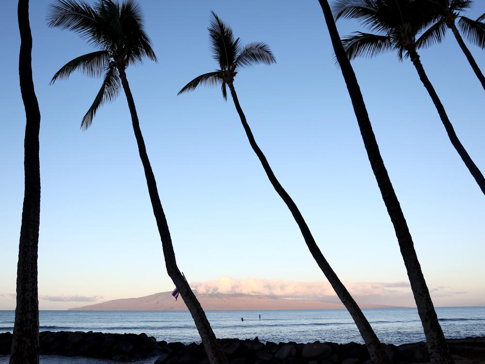 People surf off of Launiupoko Beach Park near Lahaina, Hawaii, in October. A surfer died after encountering a shark on Maui on Saturday.