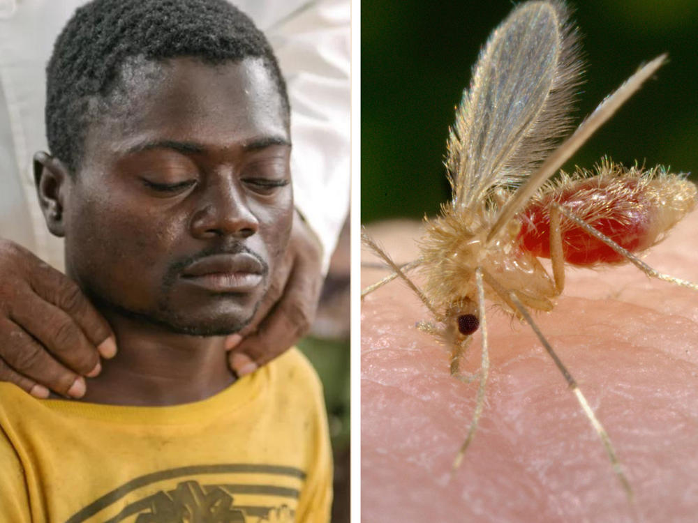 Left to right: Alexis Mukwedi tested positive for sleeping sickness in the Democratic Republic of the Congo. A sandfly, whose bite can spread the parasite causing visceral leishmaniasis, lands on the photographer for a blood meal. A woman in Vietnam receives an eye exam to see if she has trachoma, which can cause blindness. Last year several countries eliminated the threat from this disease.