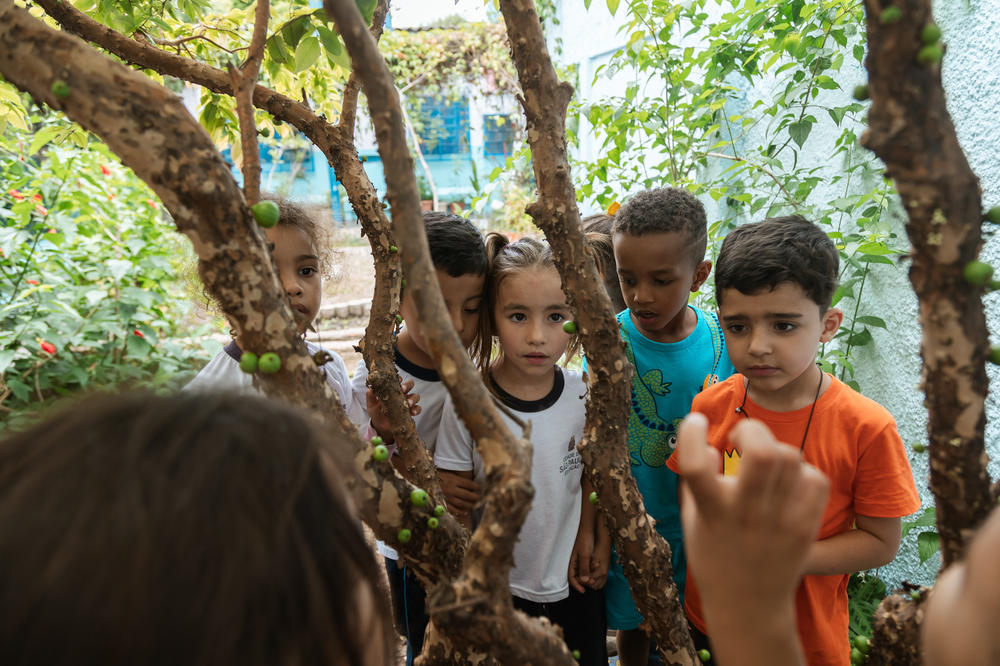 Students play among trees and plants in the school's garden.