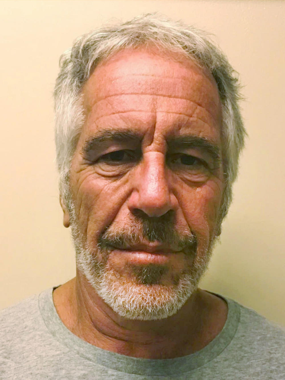 This March 28, 2017, image provided by the New York State Sex Offender Registry shows Jeffrey Epstein.