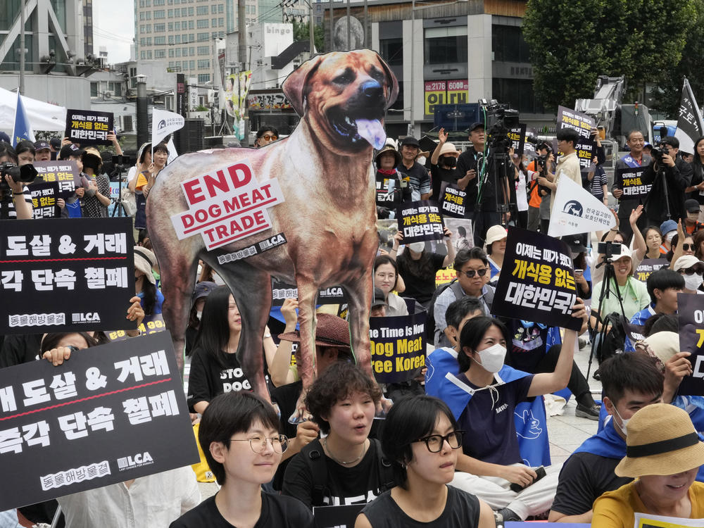 Animal rights activists stage a rally opposing South Korea's traditional culture of eating dog meat in Seoul, South Korea on July 8, 2023.