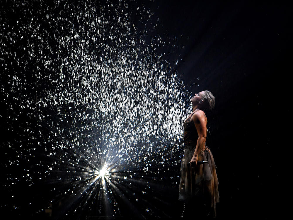 Pink's 2009 pop hit <a href=