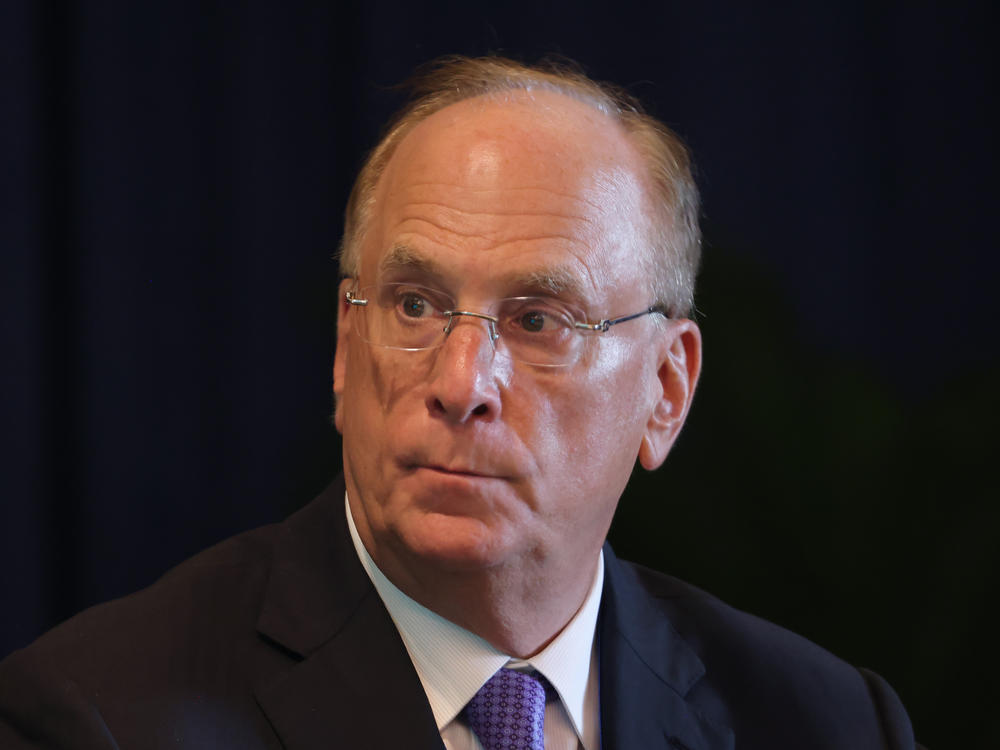 In 2017, Larry Fink, the CEO of BlackRock, called bitcoin an 