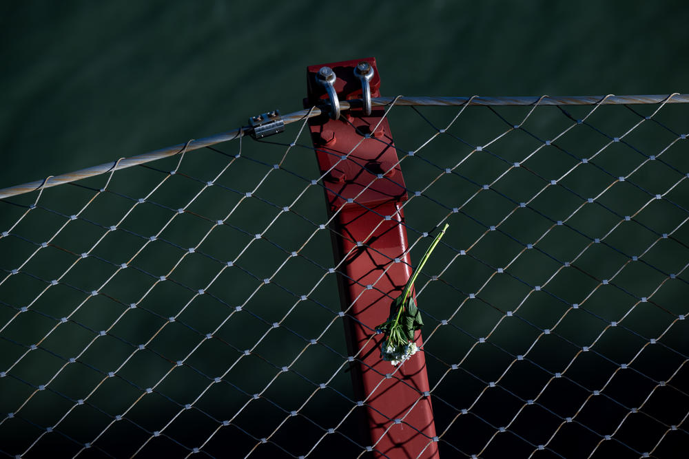 A flower cutting lays on a stainless steel safety net below the sidewalk on the Golden Gate Bridge on Jan. 8, 2024, designed to discourage people from jumping and to catch those who do.