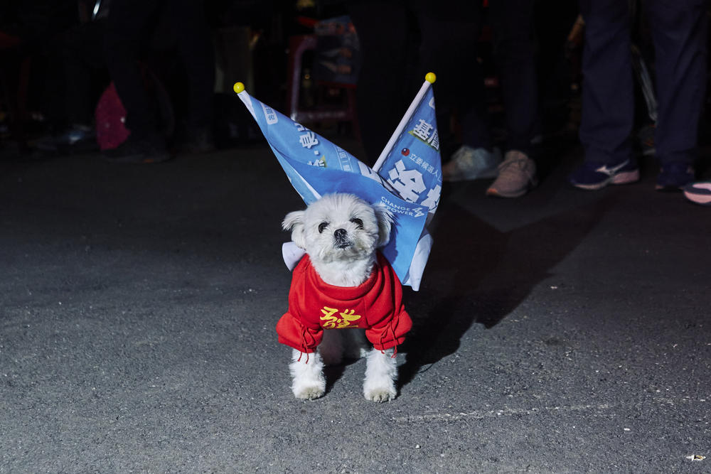 One of the smaller supporters spotted at a rally for KMT presidential candidate Hou Yu-ih.
