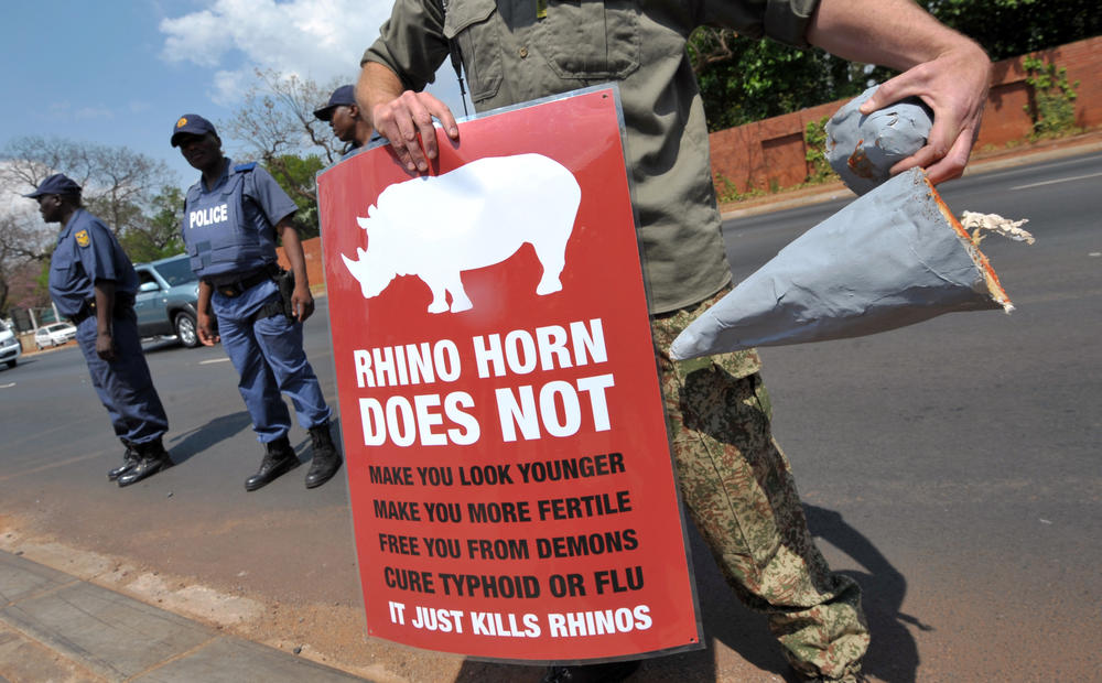 A protester holds a sign and a fake rhino horn during a demonstration outside the Chinese Embassy in Pretoria, South Africa, in 2011. The protest called for action against poachers.