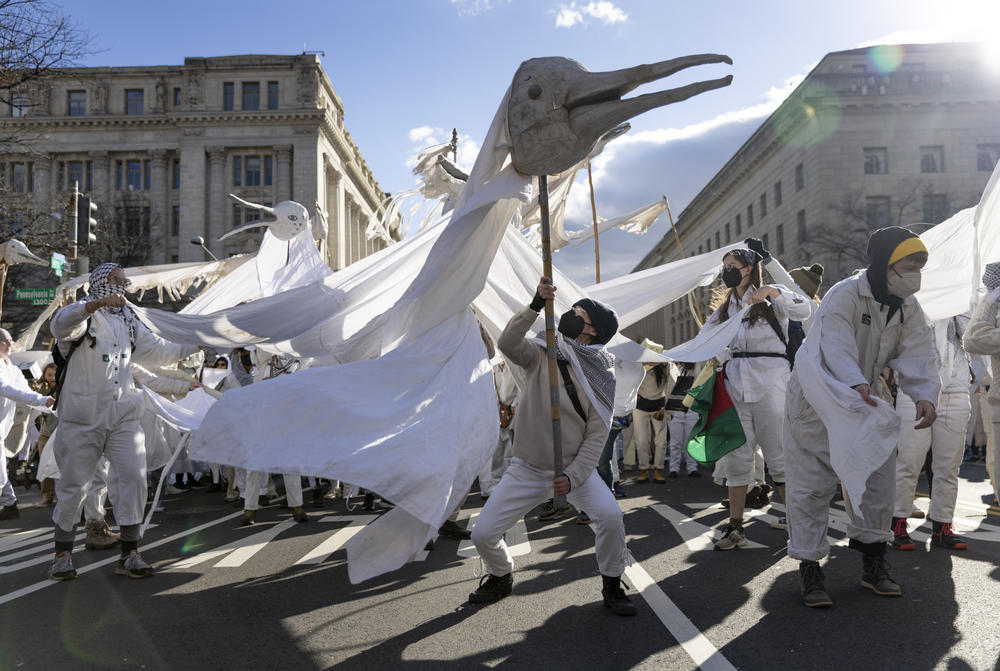 People fly bird puppets at the start of the march. The group organizing this was <em>Bread and Puppet</em> theater group. One volunteer called the puppets birds of peace.